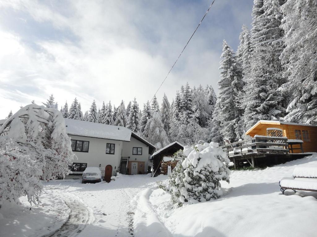 Ferienhaus Hollinger Lägenhet Verditz Exteriör bild